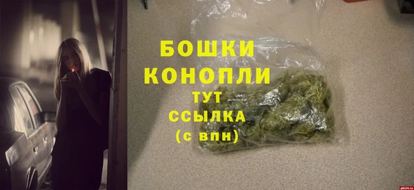 крисы Белокуриха