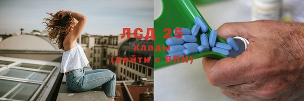 крисы Белокуриха