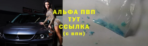 крисы Белокуриха