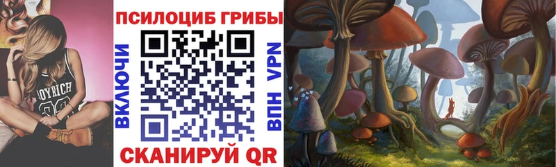 Галлюциногенные грибы Cubensis  Купить где  Бежецк 